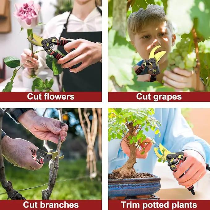 Professional Titanium Garden Shears Adjustable Opening Size Professional Bypass Pruning Shears for Plants, Hedges, and Flowers（Includes Scissors + Blade） by GreenHaven Gardens