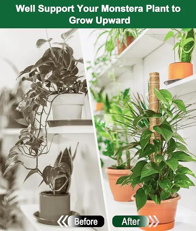 EAONE Moss Pole 96 Inch, 6 Pack 16" Monstera Plant Support for Climbing Potted Live Plants Indoor, Stackable Coco Coir Moss Sticks Monstera Stakes for Pothos Philodendron, with Garden Labels & Ties by GreenHaven Gardens