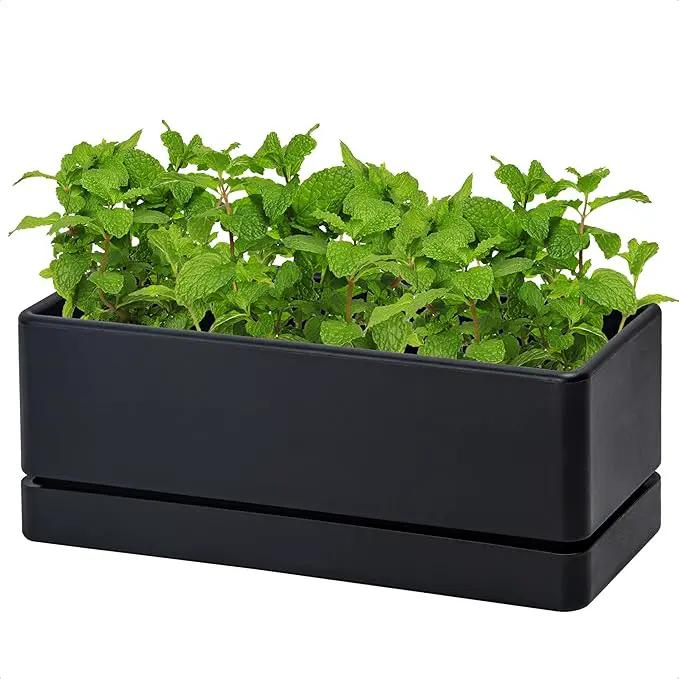 D'vine Dev 12 Inch Window Box Planter, Rectangle Plastic Herb Planter with Drainage Holes and Saucer, Indoor Succulent Cactus Vegetable Pot for Windowsill, Garden Balcony, Black, Set of 1, 76-X-B-1 by GreenHaven Gardens