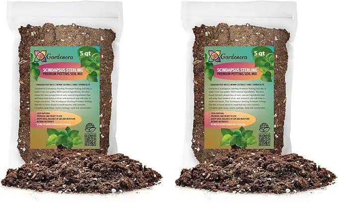 Scindapsus Sterling Plant Potting Soil - All-Natural Blend for Thriving Scindapsus Sterling Plants - Boosts Root Health and Striking Foliage - 10 Quart by GreenHaven Gardens