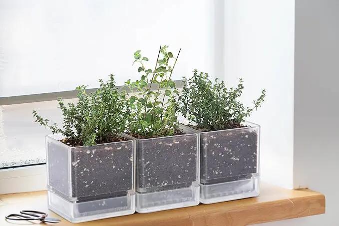4 Inch Herb Planter Pot, Plastic Planter with Drainage Holes and Saucer, Modern Decorative Gardening Pot for Indoor Plants, Flowers, Herbs, Succulents, Clear, Set of 6, 76-Y-D-6 by GreenHaven Gardens