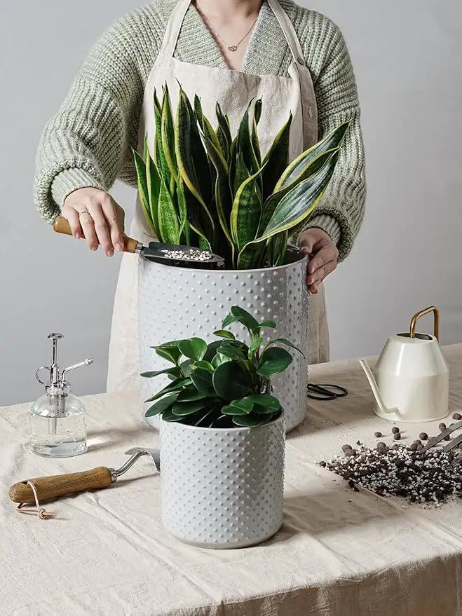LE TAUCI Ceramic Pots for Plants, 6+8+10 Inch Planters for Indoor Plants, Plant Pots Indoor for Home and Office, Mid-Modern Century Flower Pots with Drainage Hole and Silicone Plug, Glaze Star Gray by GreenHaven Gardens