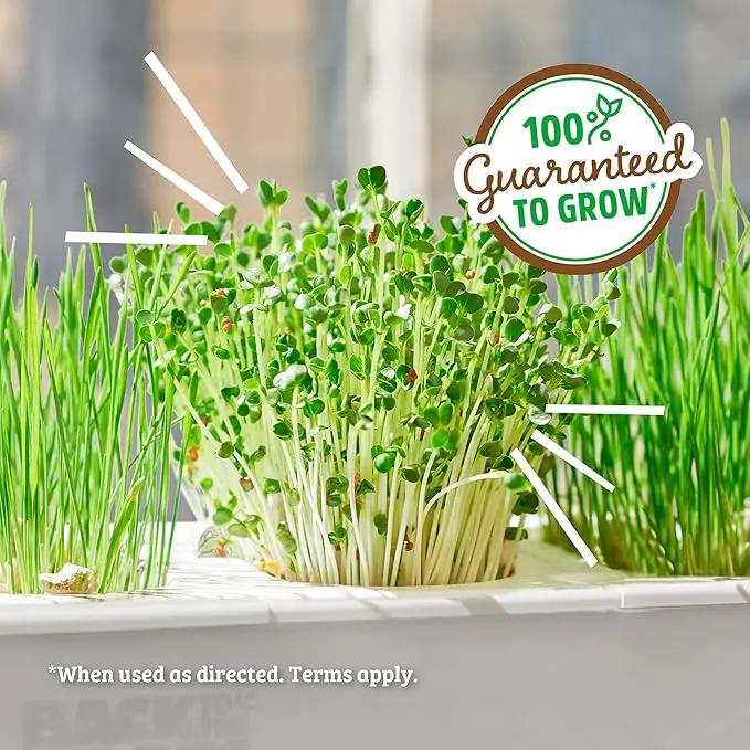 Back to the Roots Indoor Aquaponic Garden - 3 Gallon Self Watering, Mess-Free Planter and Self-Cleaning Fishtank for Herbs, Microgreens, Bamboo, Succulents, and Houseplants, support Fish by GreenHaven Gardens