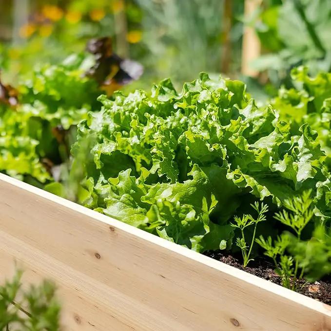 MUPATER 4x2FT Raised Garden Bed,Raised Garden Bed with Four Legs, Elevated Planter Box with Drainage Holes for Herbs and Vegetables, Outdoor and Indoor, Natural Wood by GreenHaven Gardens