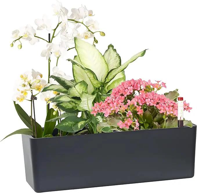GardenBasix Elongated Self Watering Planter Pots Window Box 5.5 x 16 inch Indoor Home Garden Modern Decorative Planter Pot for All House Plants Flowers Herbs (Dark Grey,1-Pack) by GreenHaven Gardens