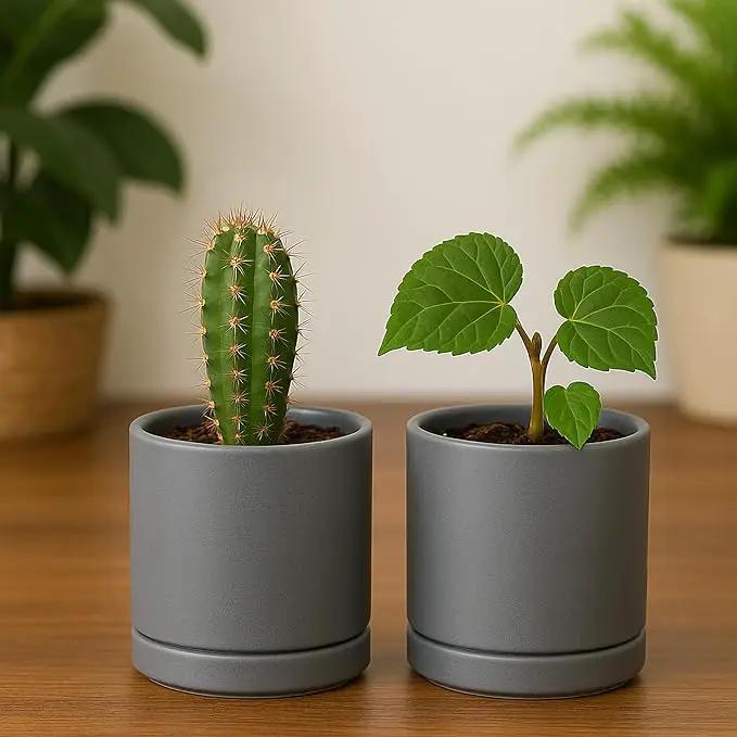 D'vine Dev Set of 2 Plants Pots, 3.5 Inch Ceramic Planter Pot for Plants with Drainage Hole and Saucer, Speckled Grey, 94-V-A-3 by GreenHaven Gardens