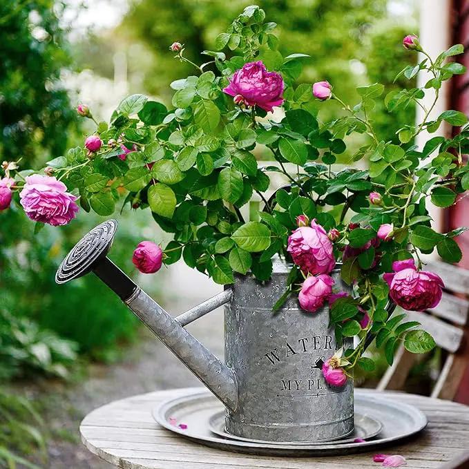 Galvanized Watering Can for Outdoor Indoor Plants, 1 Gallon Decorative Countryside Style Water Can with Removable Spout, Perfect Metal Watering Can for Indoor Plants and Garden Flower by GreenHaven Gardens