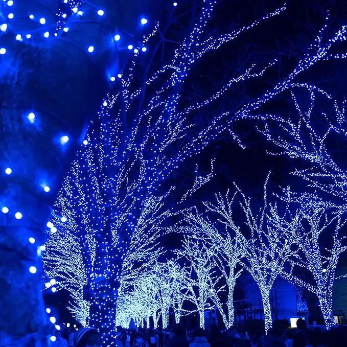 2 Pack Solar Christmas Lights Outdoor Waterproof, 75.5 ft 200 LED Solar Powered Blue String Lights,8 Modes Solar Christmas Lights for Garden Yard Patio Tree Party Xmas Decoration by GreenHaven Gardens