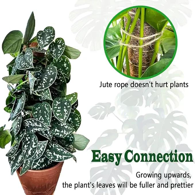 2 Pack 17 Inch Moss Pole, Stackable Moss Poles for Climbing Plants Monstera, Tall Plant Sticks Accessories, Large Coir Plant Support Stakes for Potted Plants Indoor, Pothos, Philodendron by GreenHaven Gardens
