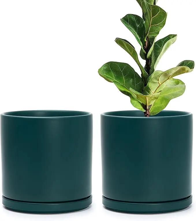 D'vine Dev Set of 2 Plants Pots, 8 Inch Ceramic Planter Pot for Plants with Drainage Hole and Saucer, Teal, 94-V-D-9 by GreenHaven Gardens