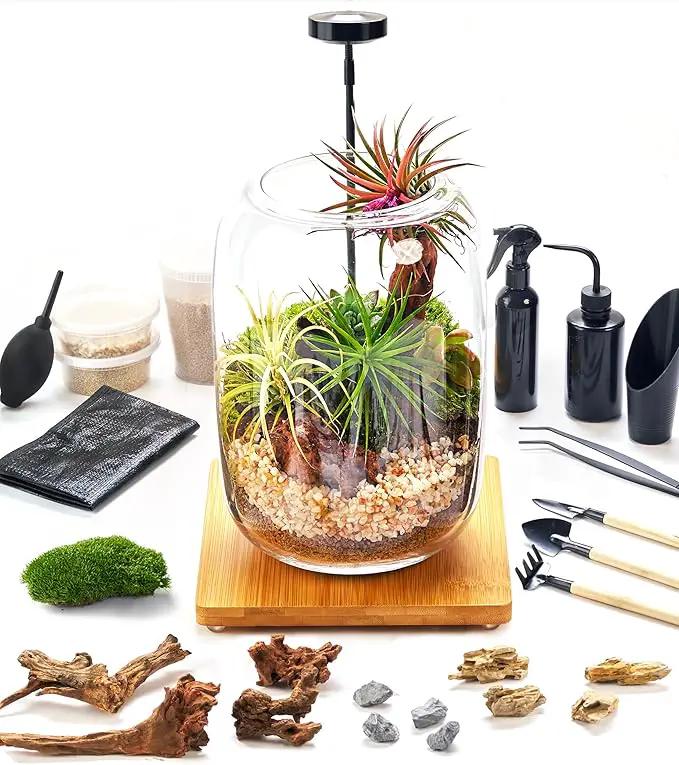 Terrarium Kit/Supplies Terrarium Plants Set with Grow Light, for Succulents Miniature Gardening, Include Terrarium jar Tool Set Live Moss Rocks Soil Driftwood and Decor, for Plant Lovers by GreenHaven Gardens