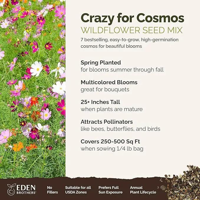 Eden Brothers Crazy for Cosmos Flower Mixed Seeds for Planting, 1/4 lb, 120,000+ Seeds with Cosmos Gloria, Pinkie, Purity | Attracts Pollinators, Plant in Spring or Fall, Zones 3, 4, 5, 6, 7, 8, 9, 10 by GreenHaven Gardens