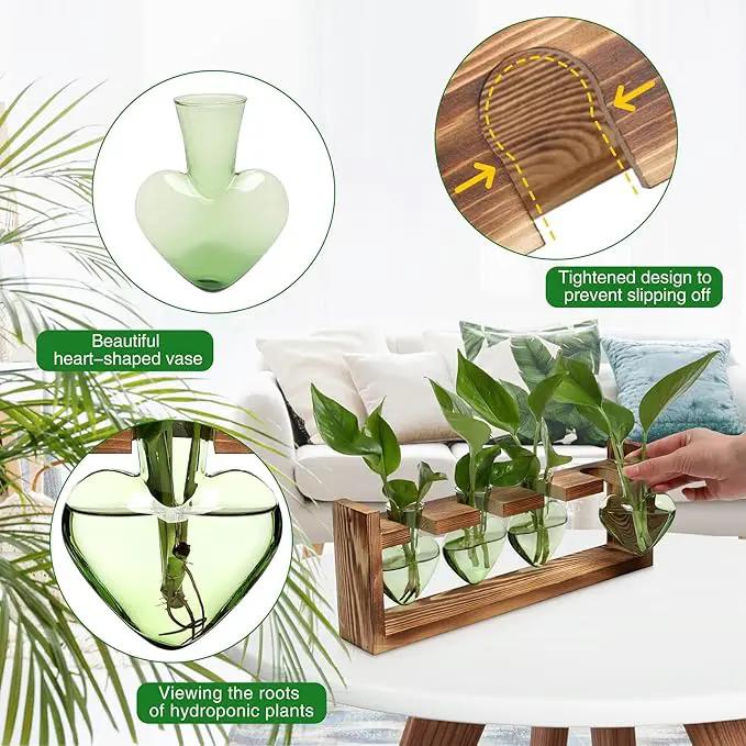 Plant Propagation Stations Heart Plant Terrarium Kit Gift for Women Plant Lover Glass Vases by GreenHaven Gardens