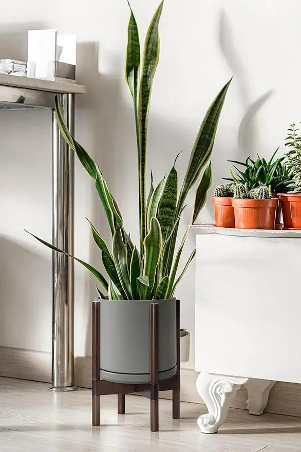 D'vine Dev Ceramic Planter with Walnut Color Stand - 10 Inch Modern Round Flower Pot with Wood Planter Holder, Grey, 55-B-X-3 by GreenHaven Gardens