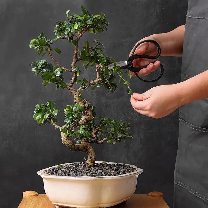 Professional Bonsai Butterfly Scissors | Pruning Shears for Trimming Plants | Japanese Gardening, Bonsai Tools | Garden Scissors by GreenHaven Gardens