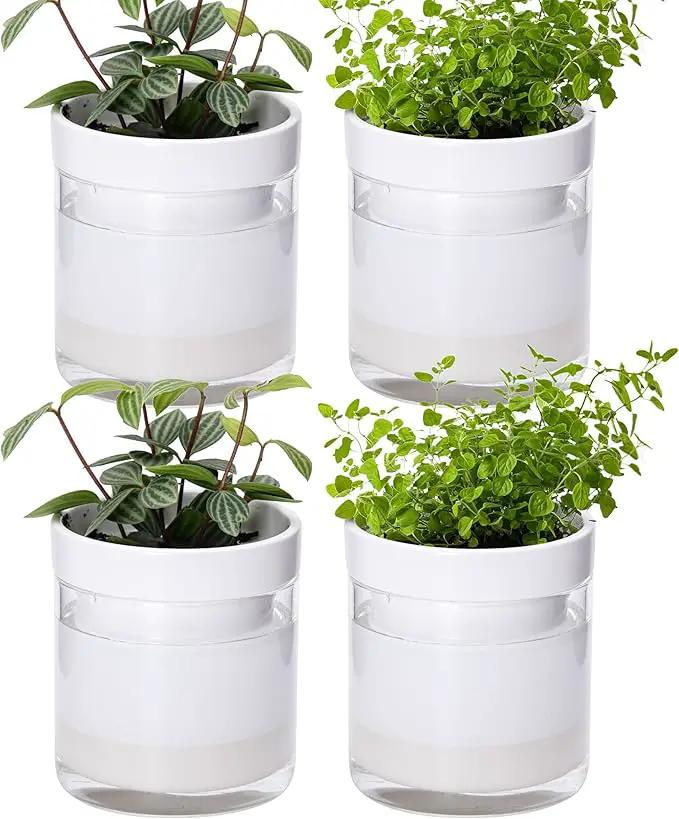 Phoenix Vine 4 Inch Self Watering Planter, White Terracotta Clay Pot with Glass Reservoir for Indoor Plants, Herbs, Flowers, Set of 4, 52-B-E-4 by GreenHaven Gardens