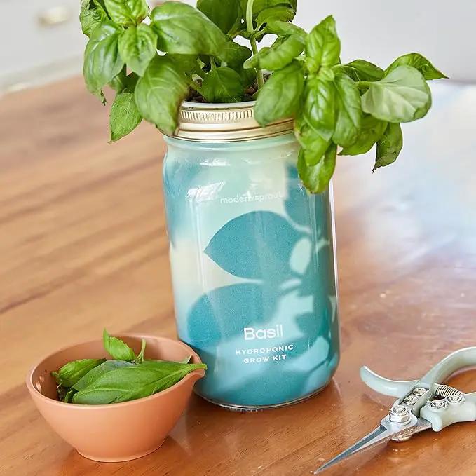 Modern Sprout Mason Garden Jar - Self-Watering Hydroponics Growing System Kit with Organic Herb Seeds - Jar Planter for Indoor Herb Garden - Seed Starter Kit - Home Decor & Gifting - Basil by GreenHaven Gardens