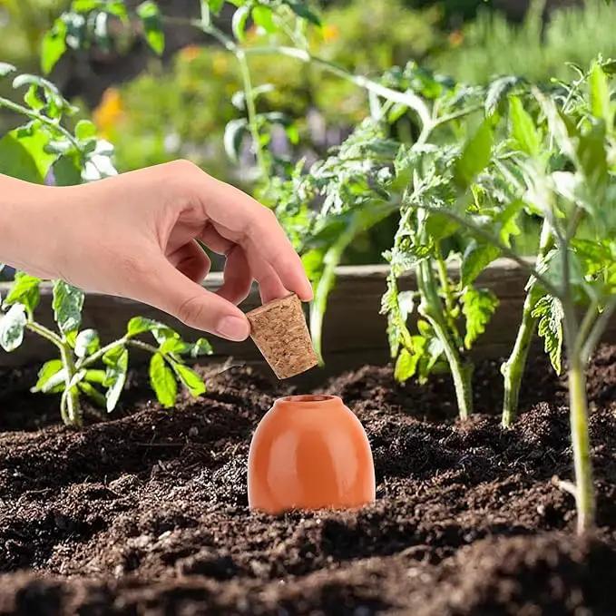 4 Pack Olla Watering Pot, Self Watering Globes 5.2oz Slow Release Terracotta Watering Spikes for Indoor Outdoor Plants, Easy to Refill Automatic Dripping Clay Bulbs Planter Insert (4.9" Tall, Cone) by GreenHaven Gardens