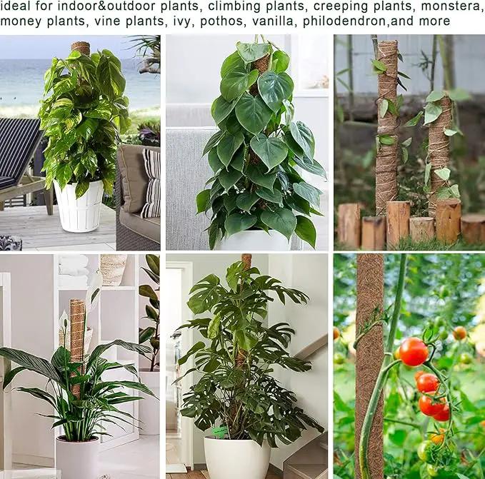 Moss Pole 58.7 Inch - Monstera Plant Support 5 Pack, 17.5" and 12" Plant Stakes for Indoor Plants Coco Coir Moss Pole Sticks for Climbing Potted Live Plants, Pothos, Philodendron by GreenHaven Gardens