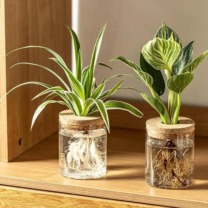 Glass Plant Propagation Stations for Plants – Set of 4(2 Large & 2 Small) Hydroponic Vases for Plant Cuttings,Flower Arrangements, Home & Office Decor–Desktop Vases for Living Room, Bedroom (4) by GreenHaven Gardens