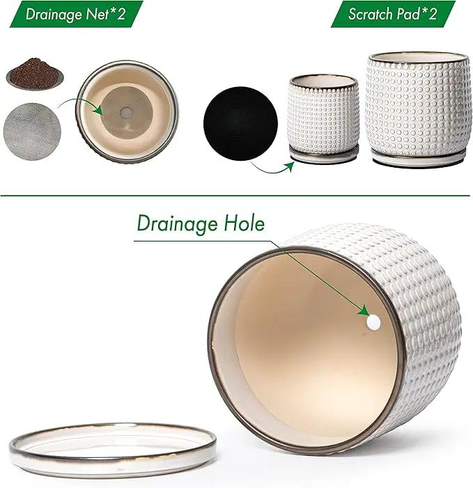 D'vine Dev 8 Inch 6 Inch Ceramic Indoor Planter Pots with Drainage Hole and Saucer, Beaded Design Flower Pots, Set of 2, Smoked White, 27-D-P-1 by GreenHaven Gardens