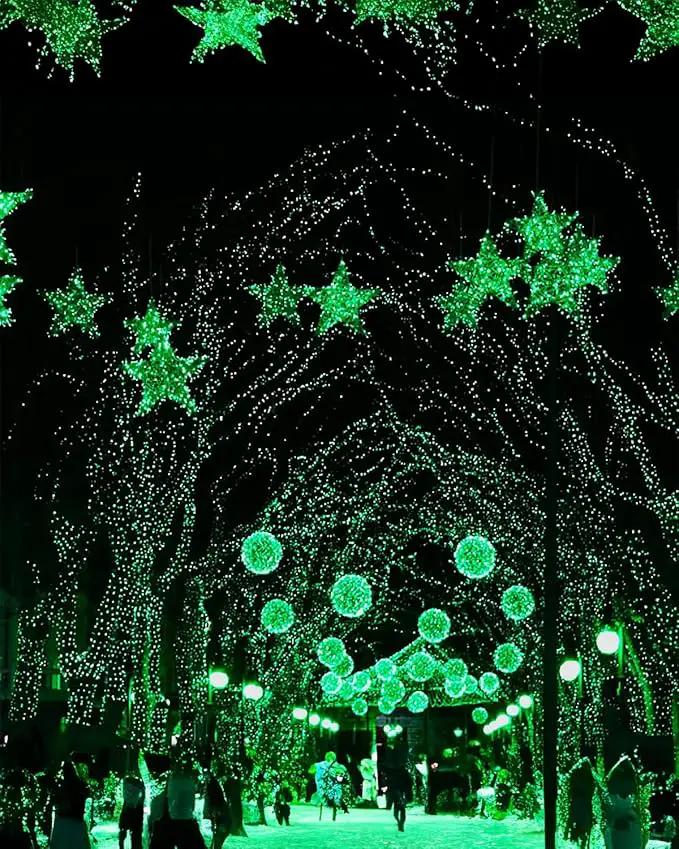 Twinkle Star 2 Pack Green Solar String Lights Outdoor, St. Patrick's Day Solar Fairy Lights Total 80 FT 240 LED, Waterproof 8 Modes, Tree Light for Patio Garden Wedding Party Home Holiday Decor by GreenHaven Gardens