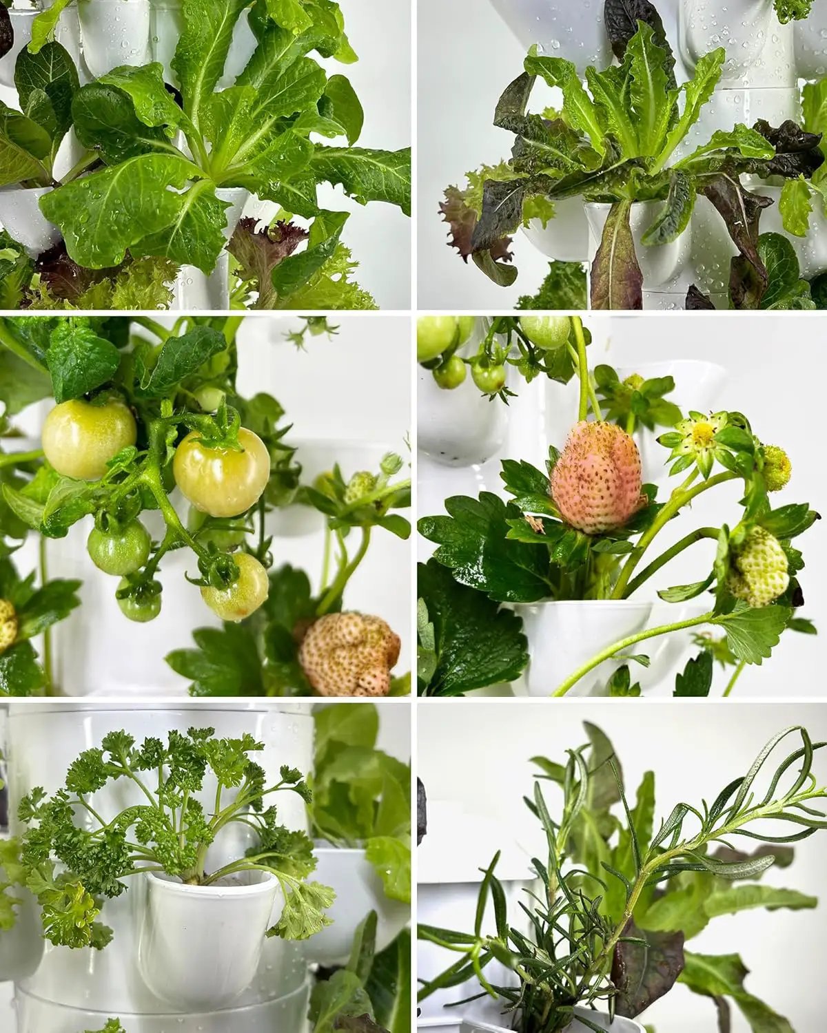 Hydroponic Tower Growing System，45 Pods Vertical Garden，Suitable for Indoor and Greenhouse, Grow Herbs and Vegetables，Houseplant Farming with Water Circulation and Automatic Timer by GreenHaven Gardens