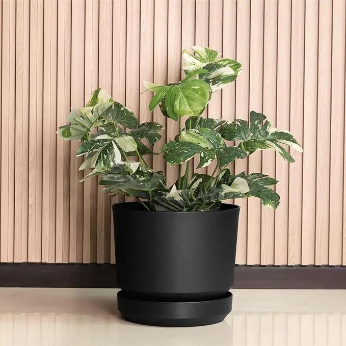 Elly Décor 10 inch Plastic Cylinder Planter Pot with Self-Watering Saucer and Drainage Hole,Lightweight & Extremely Durable, 10"x 10", Black by GreenHaven Gardens