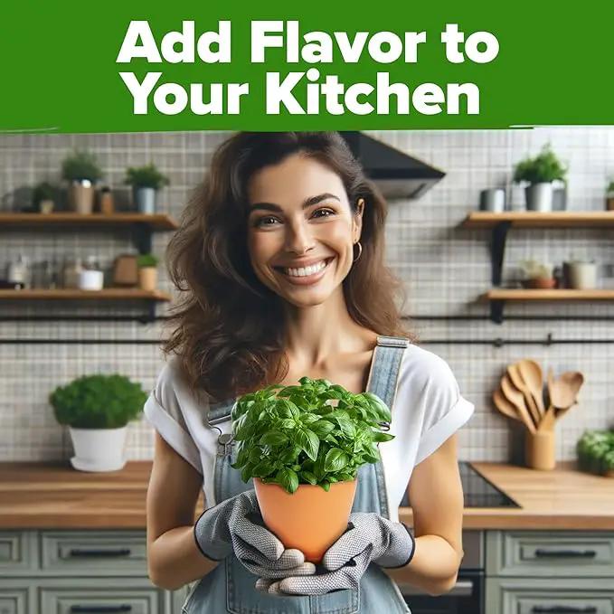 HOME GROWN 30 Herb Seeds for Planting 9,500+ Non-GMO Heirloom Seeds | Extra Large Variety Pack Herb Kit – Indoor Outdoor & Hydroponic | Culinary Seed Set | Grow Your Own Herbs | Gardening Gift by GreenHaven Gardens