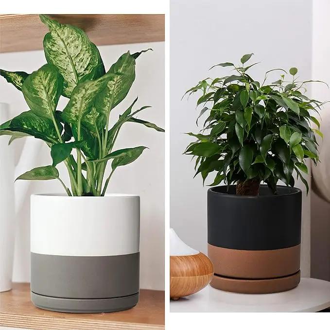 D'vine Dev Set of 2 Plants Pots, 6 Inch Ceramic Planter Pot for Plants with Drainage Hole and Saucer, White-Grey/Black-Tan, 94-V-C-C by GreenHaven Gardens