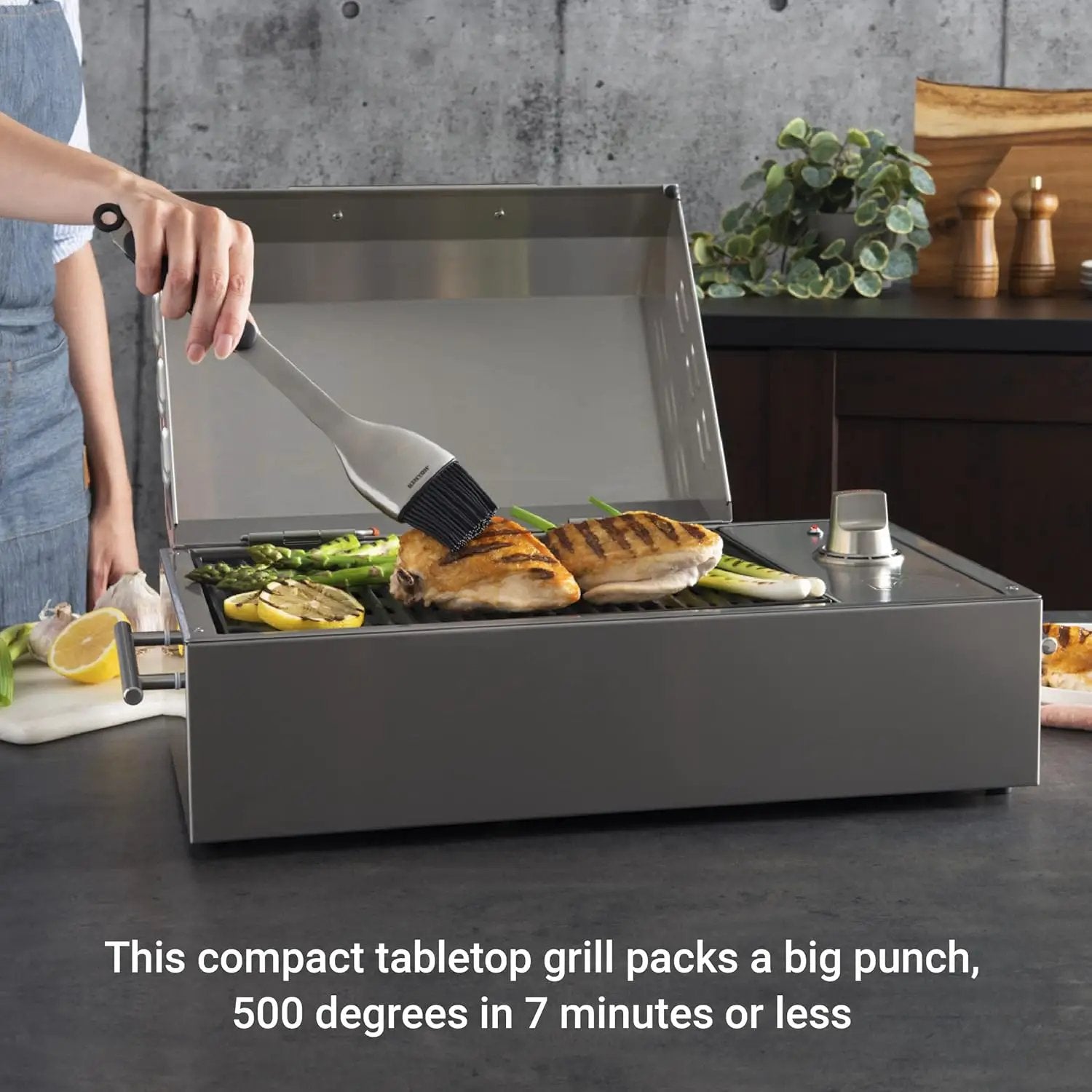 Kenyon B70200 City Grill, Portable Grill, Stainless Steel, Single Burner, Knob Control, Faceted Lid, UL Approved For Use Indoors And Outdoors, Flame-Free, 120V by GreenHaven Gardens