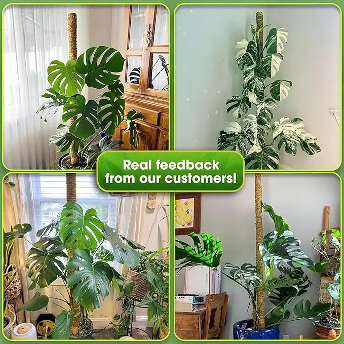 DUSPRO 59 Inches Non-Bendable Pole for Big Plants, Large Moss Pole for Plants Monstera, Plant Stakes for Indoor Plants, Monstera Plant Support, Plant Pole for Big Climbing Plants Indoor (1pc., 59'') by GreenHaven Gardens