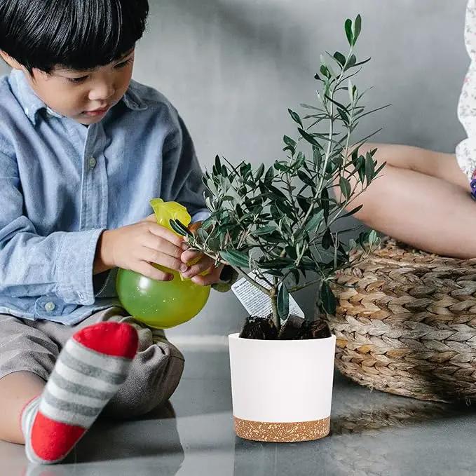 QCQHDU 5 inch Plant Pot, 2 Pack Planters for Indoor Plants with Drainage Holes & Saucer, Outdoor Flower Pots Home Garden Modern Decor by GreenHaven Gardens