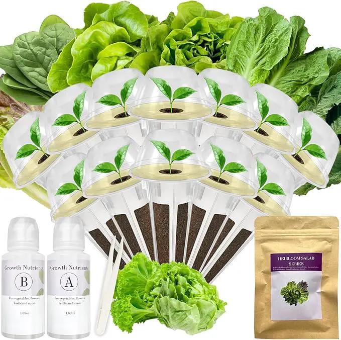 Salad Greens Seed Pod Kit for AeroGarden, iDoo, Ahopegarden, MUFGA with Red/Green Romain/American Fast/Buttercrunch/Parris Island Lettuce, Spinach - Compatible with All Garden (12-Pod) by GreenHaven Gardens