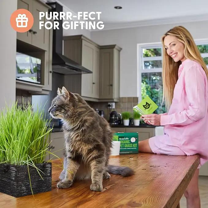 The Cat Ladies Cat Grass Kit with Black Rustic Wooden Planter, Organic Cat Grass Seeds and Soil. Easy to Grow Cat Grass for Indoor Cats. Prevent Hairballs and Aid Digestion by GreenHaven Gardens