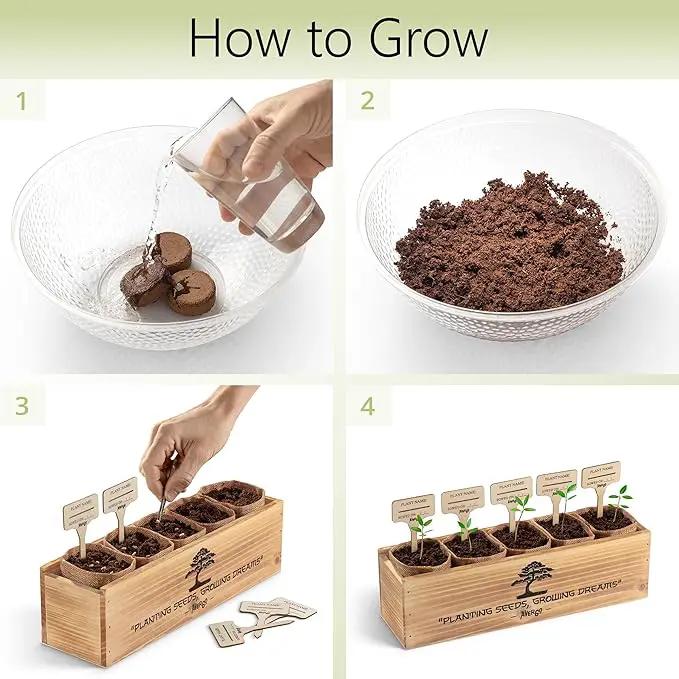 Bonsai Tree Kit for Beginners – 5X Unique Japanese Bonzai Trees | Complete Indoor Starter Kit for Growing Bonsai Plants with Tools & Planters – Gardening Gifts for Women & Men by GreenHaven Gardens