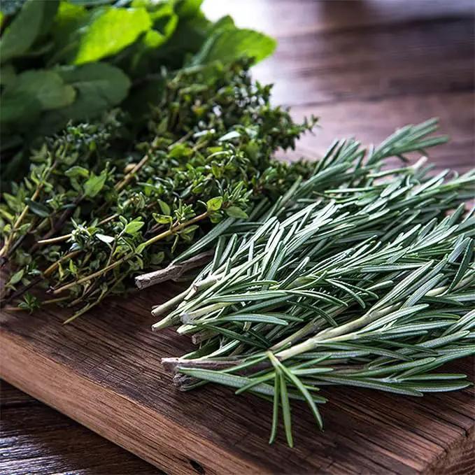 Culinary Indoor Herb Garden Starter Kit | Deluxe Herb Seeds | 12 Non-GMO Varieties | Grow Cooking Herbs & Spices | Seeds: Cilantro, Arugula, Thyme, Sage, Chives, Dill, Basil, More by GreenHaven Gardens