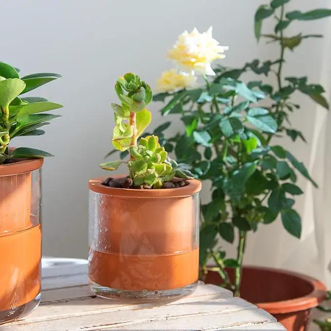 Phoenix Vine 4 Inch 6 Inch Self Watering Plants Pots, Design Terracotta Pots for Plants, Indoor Cylinder Terra Cotta Planter with Glass Vase Set, 51-A-G-46 by GreenHaven Gardens