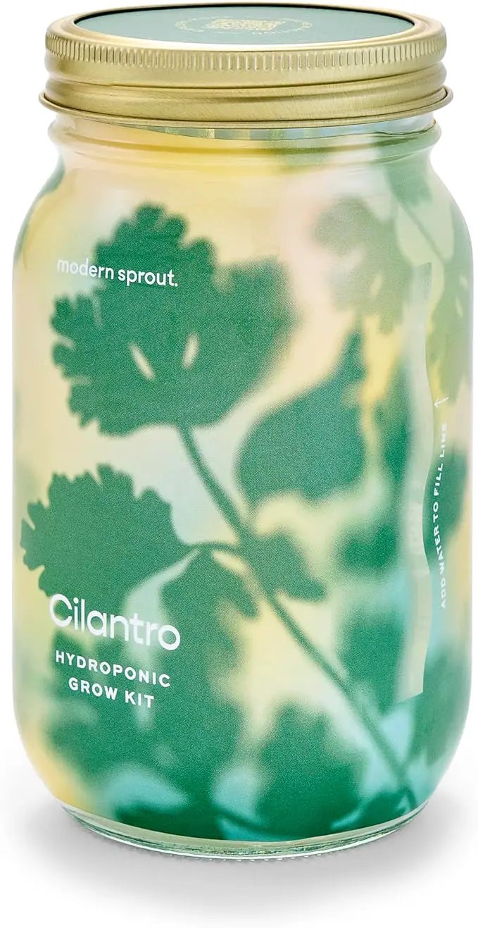 Modern Sprout Mason Garden Jar - Self-Watering Hydroponics Growing System Kit with Organic Herb Seeds - Jar Planter for Indoor Herb Garden - Seed Starter Kit - Home Decor & Gifting - Cilantro by GreenHaven Gardens