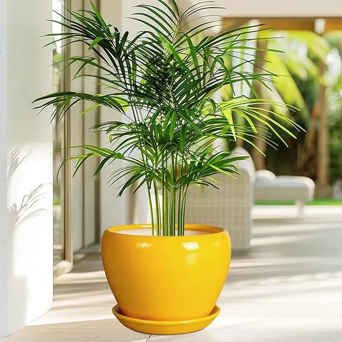 8 Inch Plant Pot - Glaze Modern Round Ceramic Planter for Indoor Outdoor Plants with Drainage Hole and Saucer for Home Patio Room Office Decor, Yellow by GreenHaven Gardens