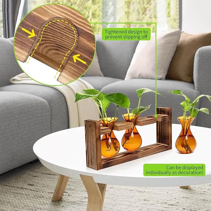 Plant Propagation Station Plant Terrarium Unique Birthday Gifts for Women Plant Lovers Home Office Decor Planter with Wooden Stand - 3 Bulb Glass Vase by GreenHaven Gardens