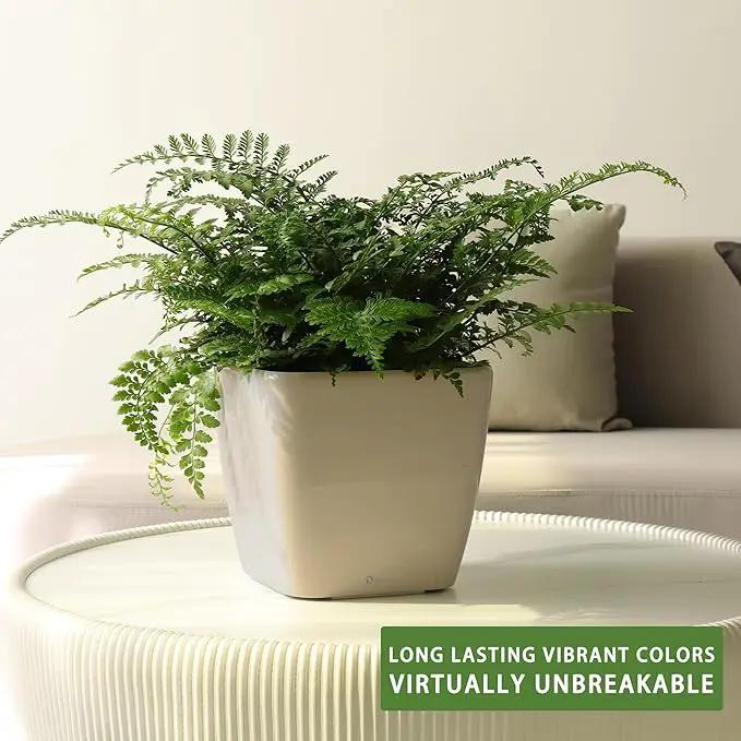Dexceder 9x8 Self Watering Planter Indoor Outdoor, Inner Mat Design, Thickened Table Flower Plant Pot with Water Level Indicator (Taupe Matte) by GreenHaven Gardens