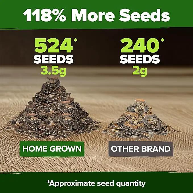HOME GROWN 𝗨𝗦𝗔 𝗣𝗥𝗘𝗠𝗜𝗨𝗠 Zinnia Dahlia Seeds Pack for 2025 – 524 𝗡𝗢𝗡-𝗚𝗠𝗢 Flower Seeds | Vibrant Zinnia Elegans for Pollinator Gardens, Borders & Containers | Easy-to-Grow Outdoor Blooms by GreenHaven Gardens