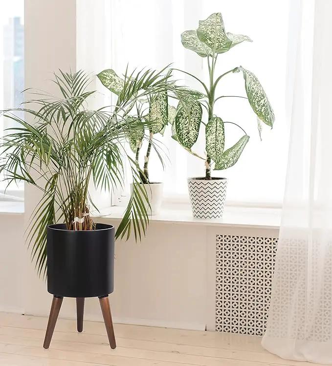 D'vine Dev 12 Inch Planter Pot with Stand, Mid-Century Tall Plant Pot with Legs for Indoor Plants, Large, Black, 88-O-C-2 by GreenHaven Gardens