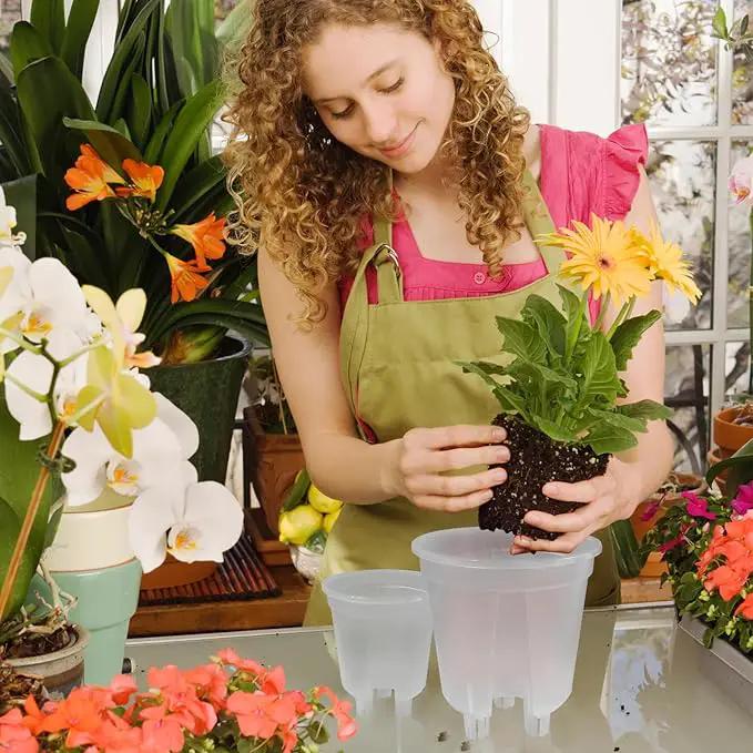 Cdd's Path 6-Pack Self Watering Pots Set with Holes for Indoor/Outdoor Plants,2 Each of 5, 6 and 7 Inch Planter Pot with Watering Hole/Reservior and Air Pipes,Clear by GreenHaven Gardens