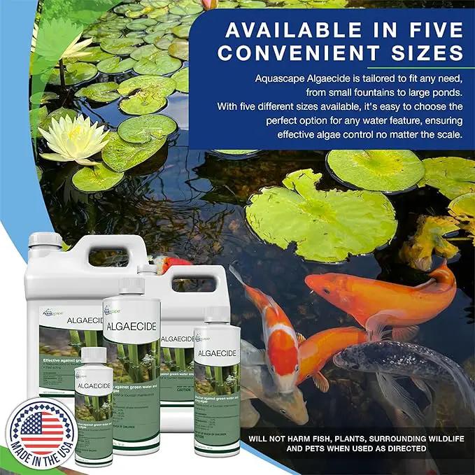 Aquascape Algaecide for Ponds, Waterfalls, and Fountains – Fast-Acting Algae Control, 32 oz / 946 ml, 96024 by GreenHaven Gardens