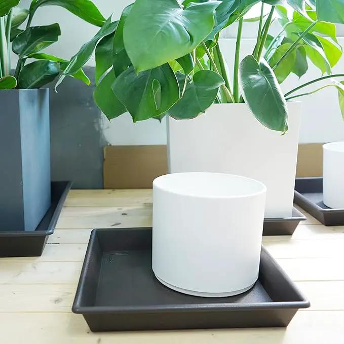 Square Plant Saucer 10 Inch 5 Pack, Plant Stand Flower Pot No Holes, Plant Trays for Pots Heavy Duty Plastic Plant Saucers for Indoors Outdoors Plant Lover Gardening Gifts by GreenHaven Gardens