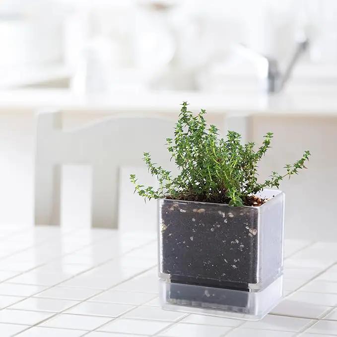 4 Inch Herb Planter Pot, Plastic Planter with Drainage Holes and Saucer, Modern Decorative Gardening Pot for Indoor Plants, Flowers, Herbs, Succulents, Clear, Set of 3, 76-Y-D-3 by GreenHaven Gardens