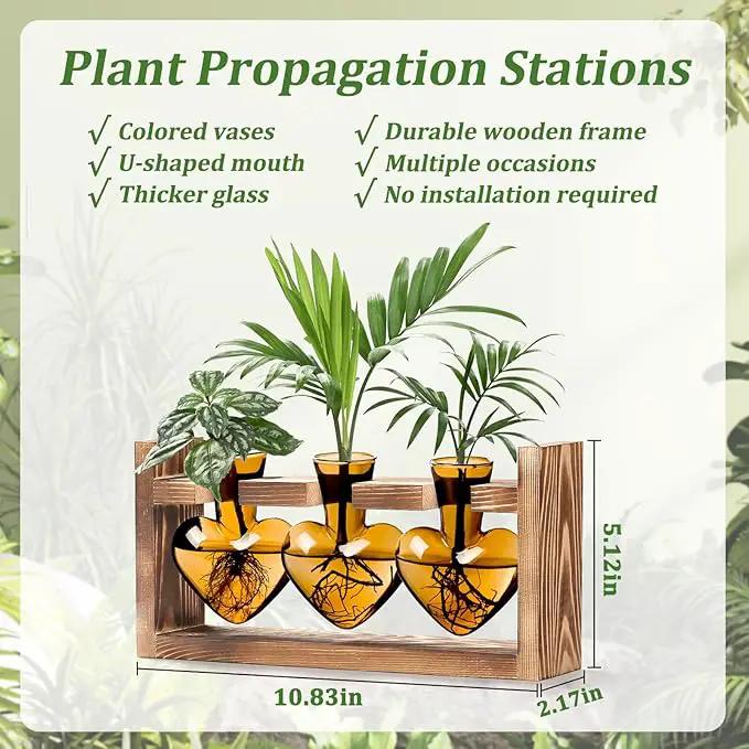 Lifecapido Heart Shaped Propagation Stations, Plant Terrarium with Wooden Stand, Plant Propagation Station for Hydroponics Plants Office Garden Home Decor, Gifts for Women Plant Lover (3 Vases, Amber) by GreenHaven Gardens