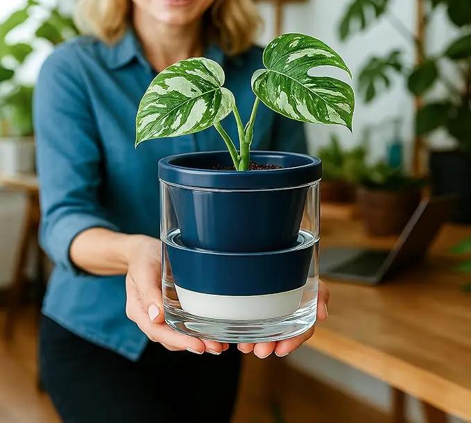 D'vine Dev 4 Inch Design Self Watering Planter for Indoor Plants, Blue Terracotta Pot with Cylinder Glass Cup, Set of 3, 37-Z-A-4-T by GreenHaven Gardens
